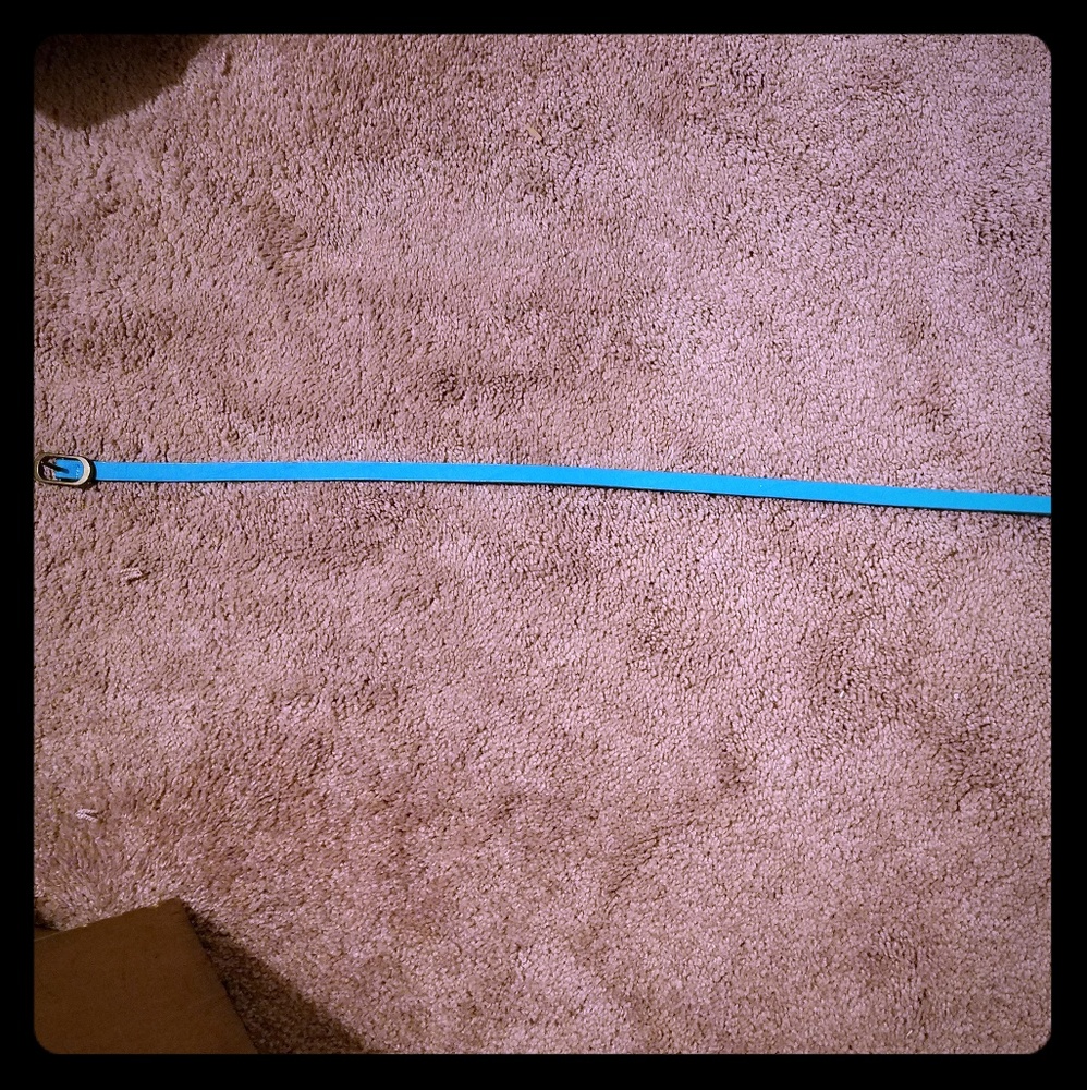 Teal belt